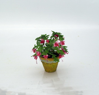 Mossy Pink Fushia